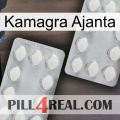 Kamagra Ajanta 17